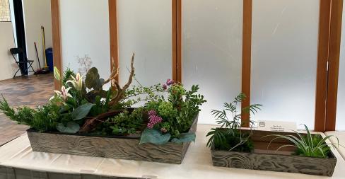 flowers